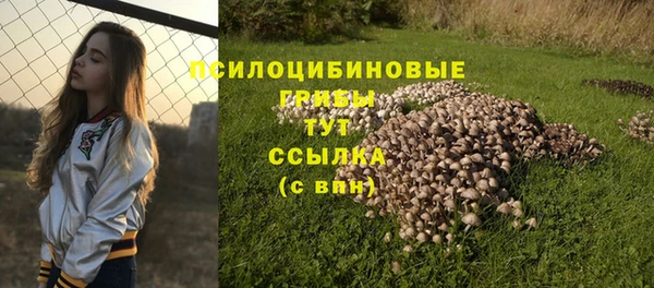 мет Алексин