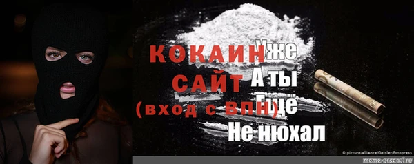 мет Алексин