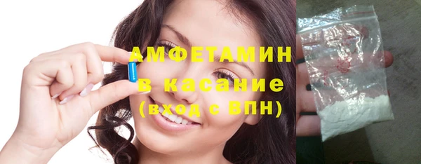 мет Алексин