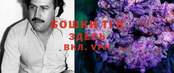 мет Алексин