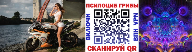 где продают   Наволоки  Галлюциногенные грибы ЛСД 